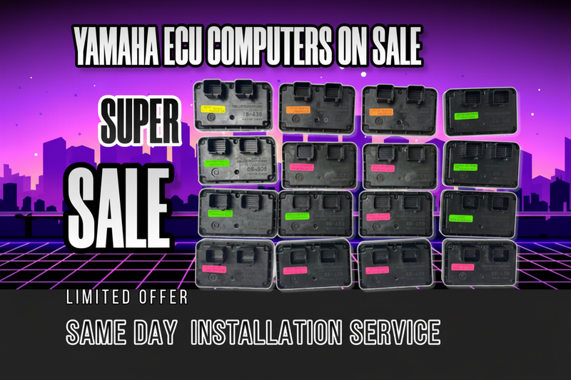 ECU Computers formato horizontal